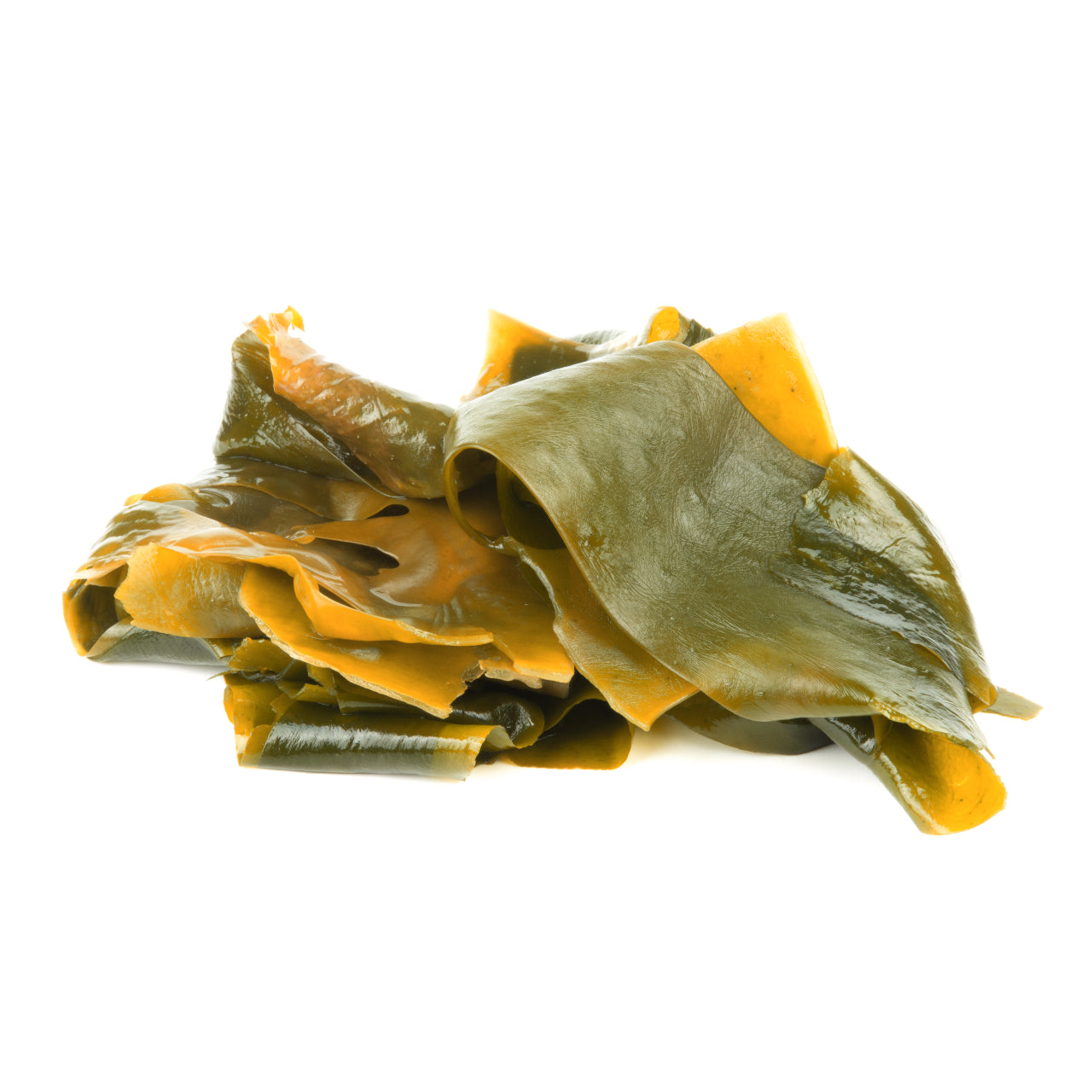 Kelp Cellular Extract