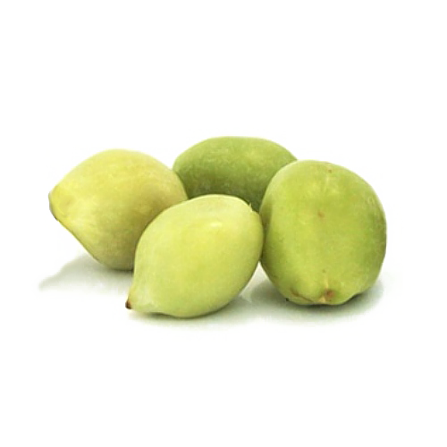 Kakadu Plum