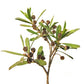 Kunzea Ambigua Essential Oil