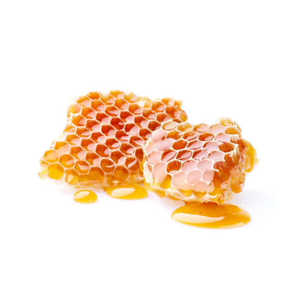 PlantæDerMX® Manuka Honey Extract