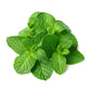 Mint Lip Balm Flavour Oil - Organic 30ml