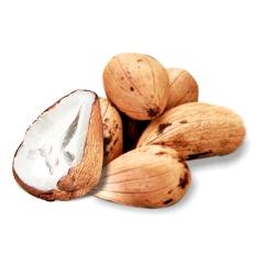 Brazilian Butters