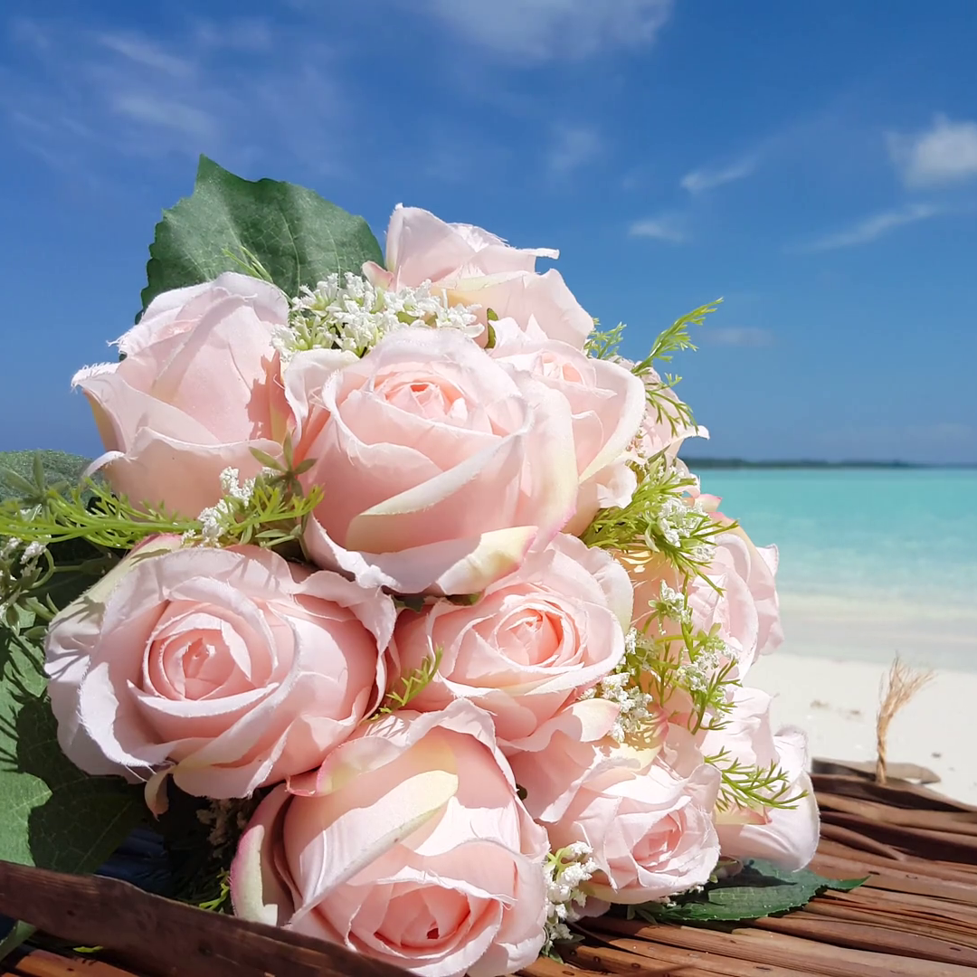 Ocean Rose Fragrance