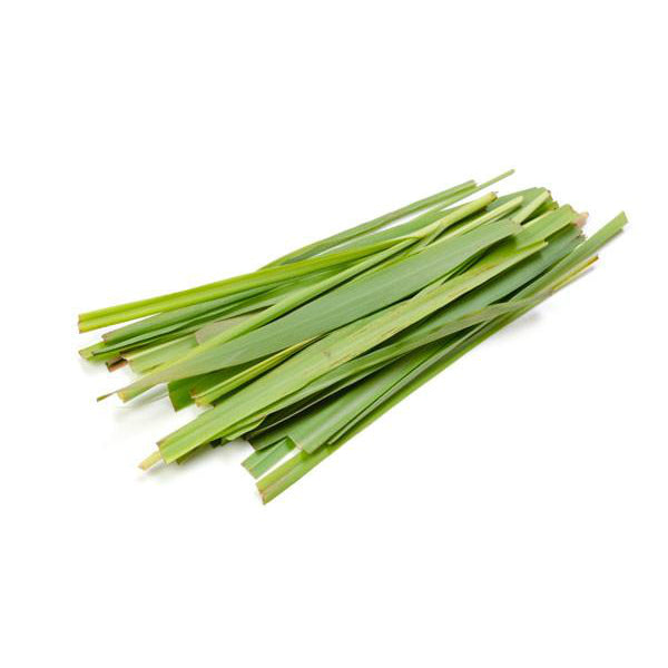 Palmarosa Essential Oil