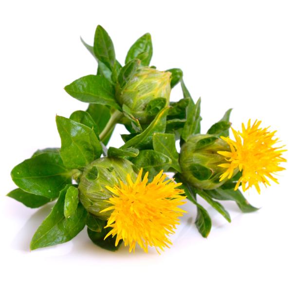 Safflower Oil, Cold Pressed - Organic