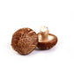 Shiitake Mushroom Cellular Extract
