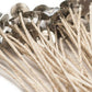 ECO 08 150mm Wick