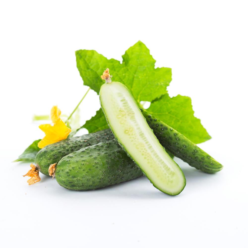 Cucumber Cellular Extract