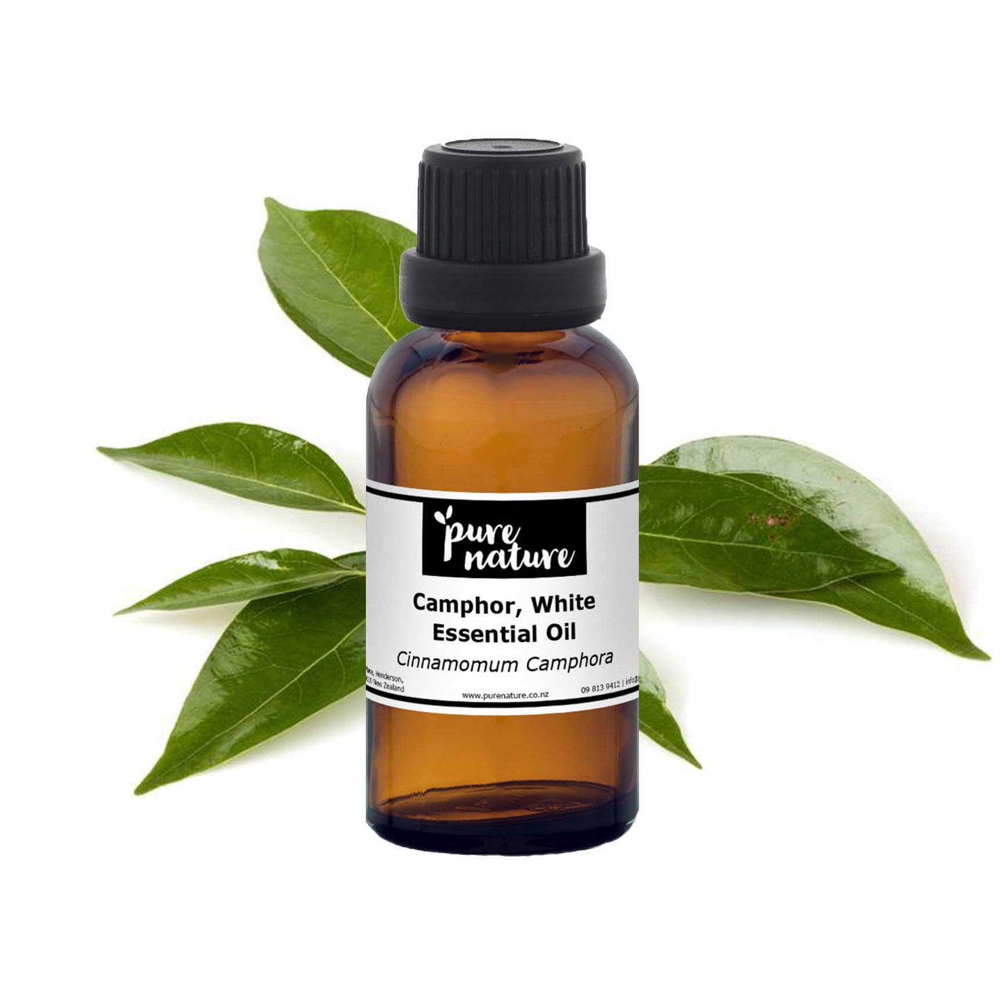 White camphor essential oil from purenaturenz in a glass bottle, showcasing clear, aromatic oil for natural wellness and aromatherapy.