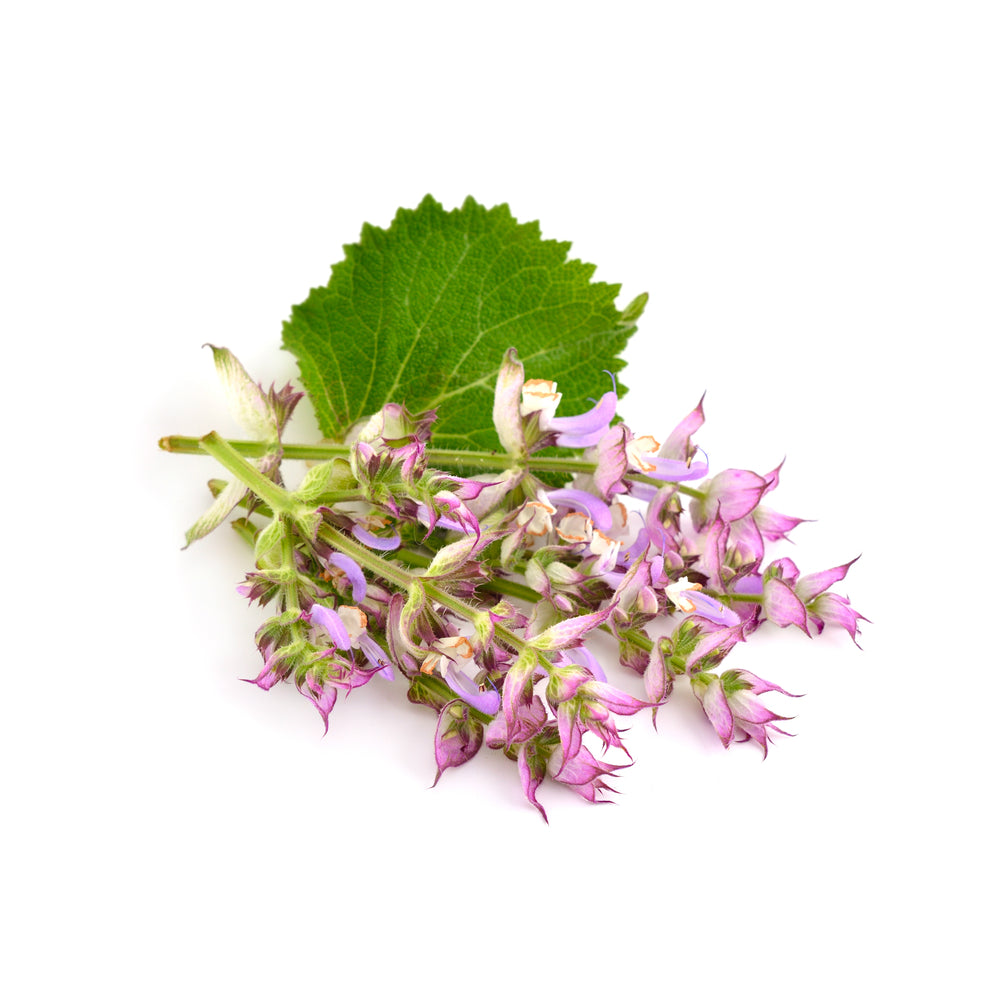 Bottle of purenaturenz Clary Sage Essential Oil with a label, surrounded by fresh sage leaves on a white background.