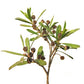 Purenaturenz Kunzea Ambigua essential oil bottle with fresh leaves, highlighting natural botanical product for aromatherapy and wellness.