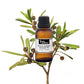 Bottle of purenaturenz Kunzea Ambigua essential oil with botanical label, displayed on a white background.