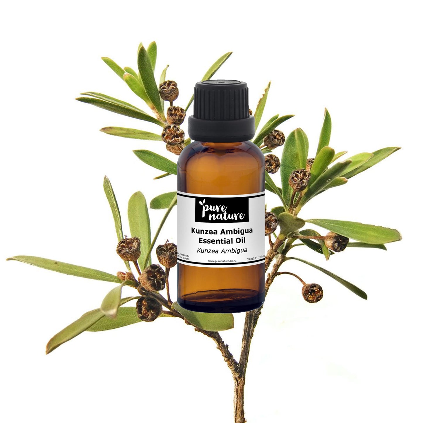 Bottle of purenaturenz Kunzea Ambigua essential oil with botanical label, displayed on a white background.