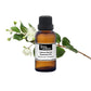 Purenaturenz Lemon Myrtle Essential Oil bottle with fresh lemon leaves and flowers, showcasing natural botanical ingredients.