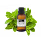 Organic marjoram essential oil in a glass bottle, with fresh marjoram sprigs beside it, highlighting natural purity and botanical quality.