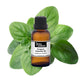 Bottled oregano essential oil from purenaturenz, showing the dark glass container with oregano leaves in the background.
