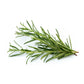 Organic rosemary essential oil bottle from purenaturenz, featuring fresh rosemary sprigs and clear glass container.
