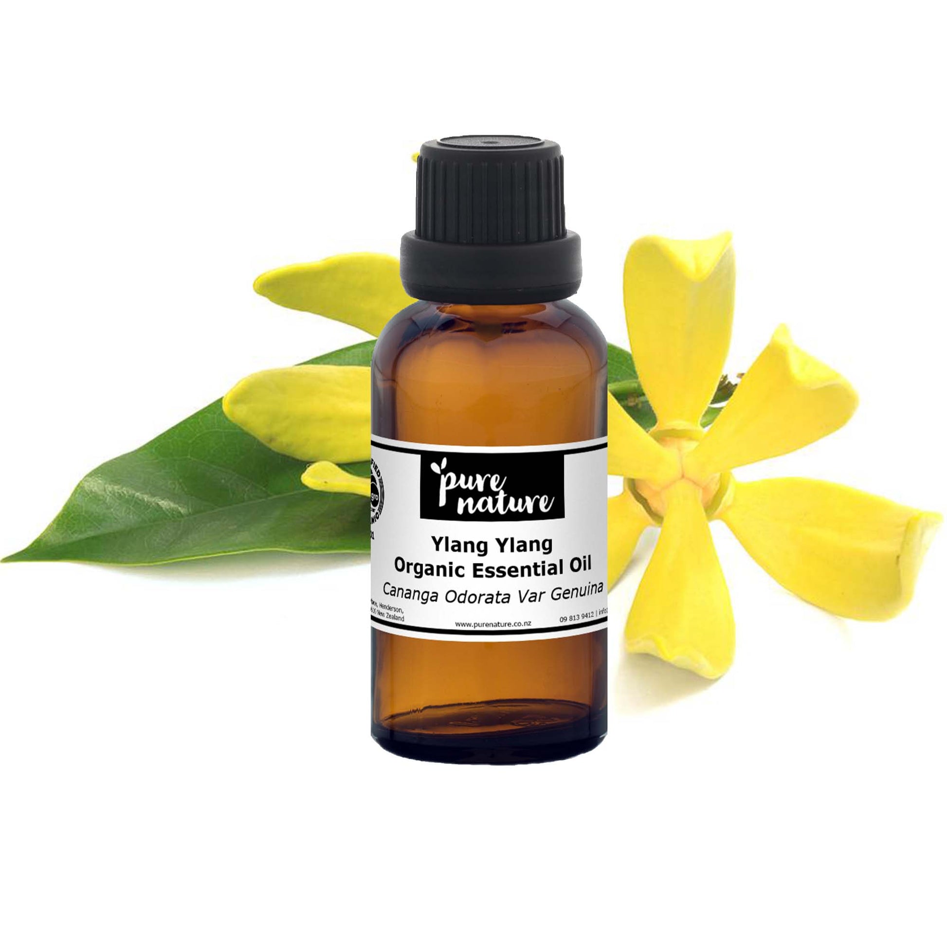 Organic Ylang Ylang essential oil in a glass bottle, highlighting natural floral aroma and pure botanical quality.