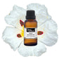 Bottles of purenaturenz Cistus Essential Oil displayed with fresh cistus flowers and leaves on a neutral background.