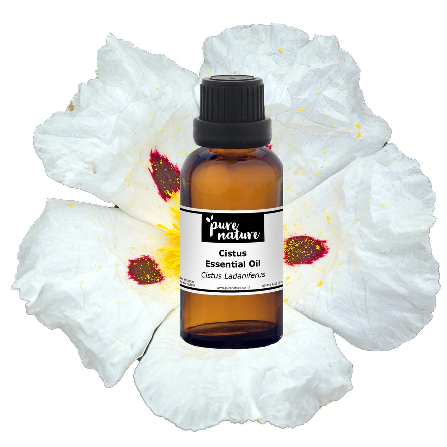 Bottles of purenaturenz Cistus Essential Oil displayed with fresh cistus flowers and leaves on a neutral background.