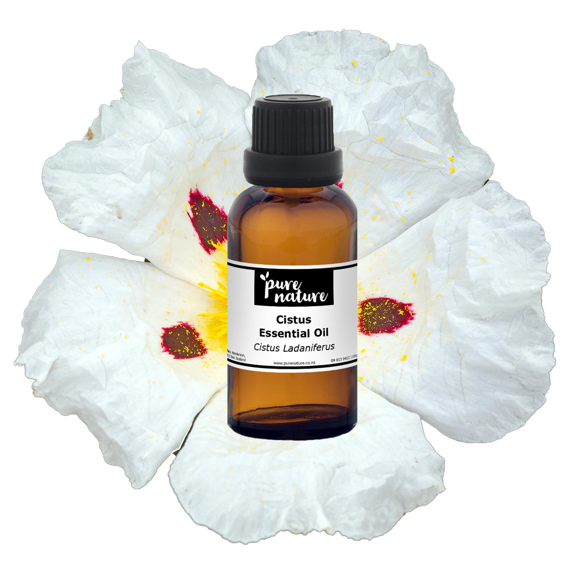 Bottles of purenaturenz Cistus Essential Oil displayed with fresh cistus flowers and leaves on a neutral background.