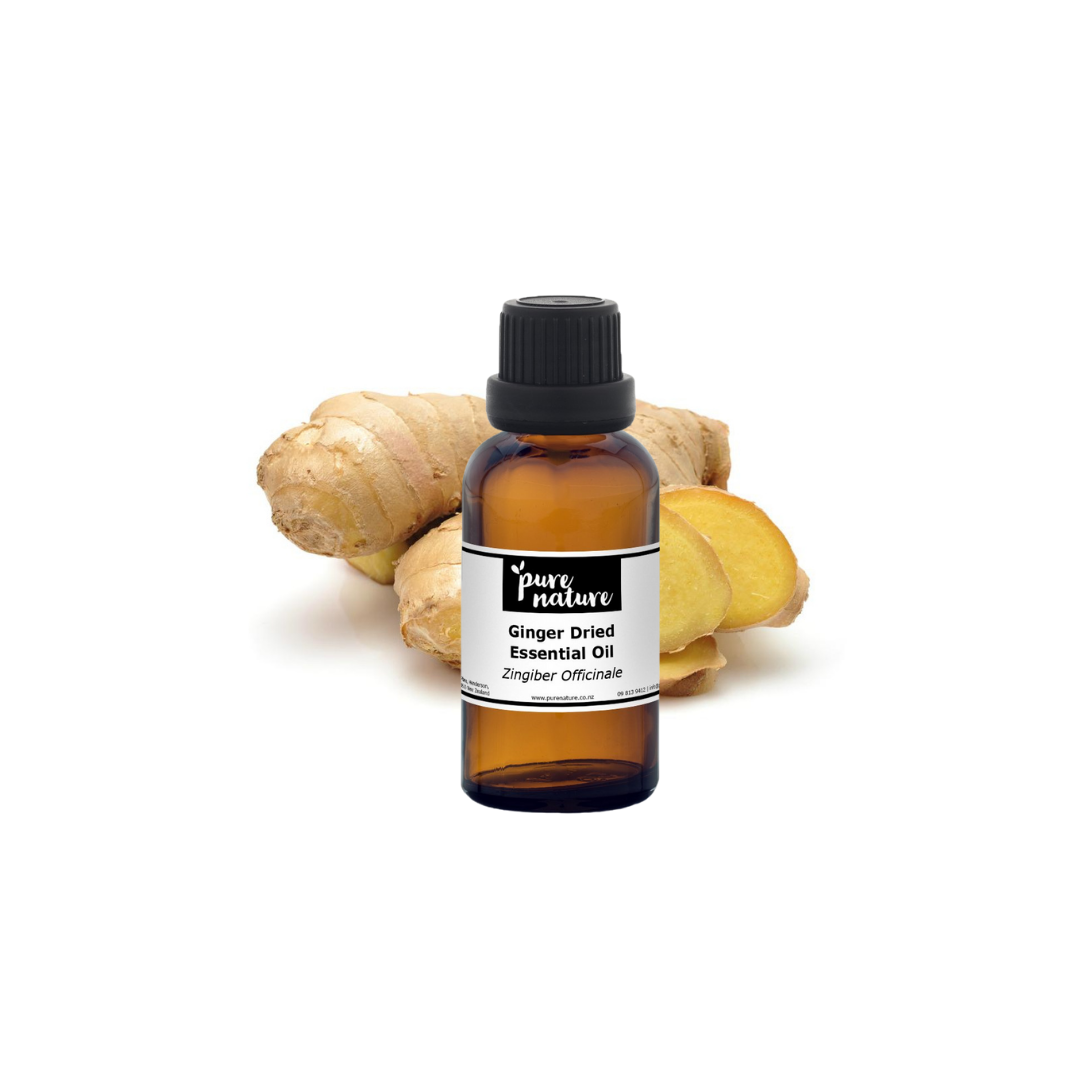 Dried ginger essential oil bottle from purenaturenz, showing amber glass bottle with essential oil drops and ginger root illustration.