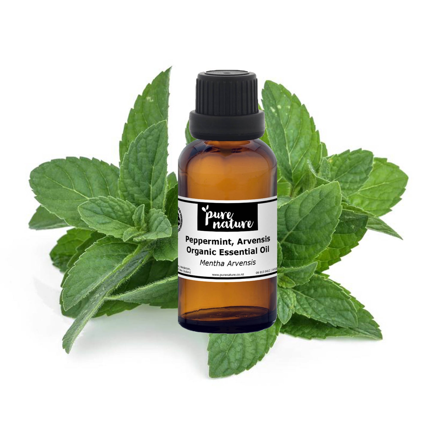 Organic peppermint arvensis essential oil in a glass bottle, showing fresh peppermint leaves and clear liquid.