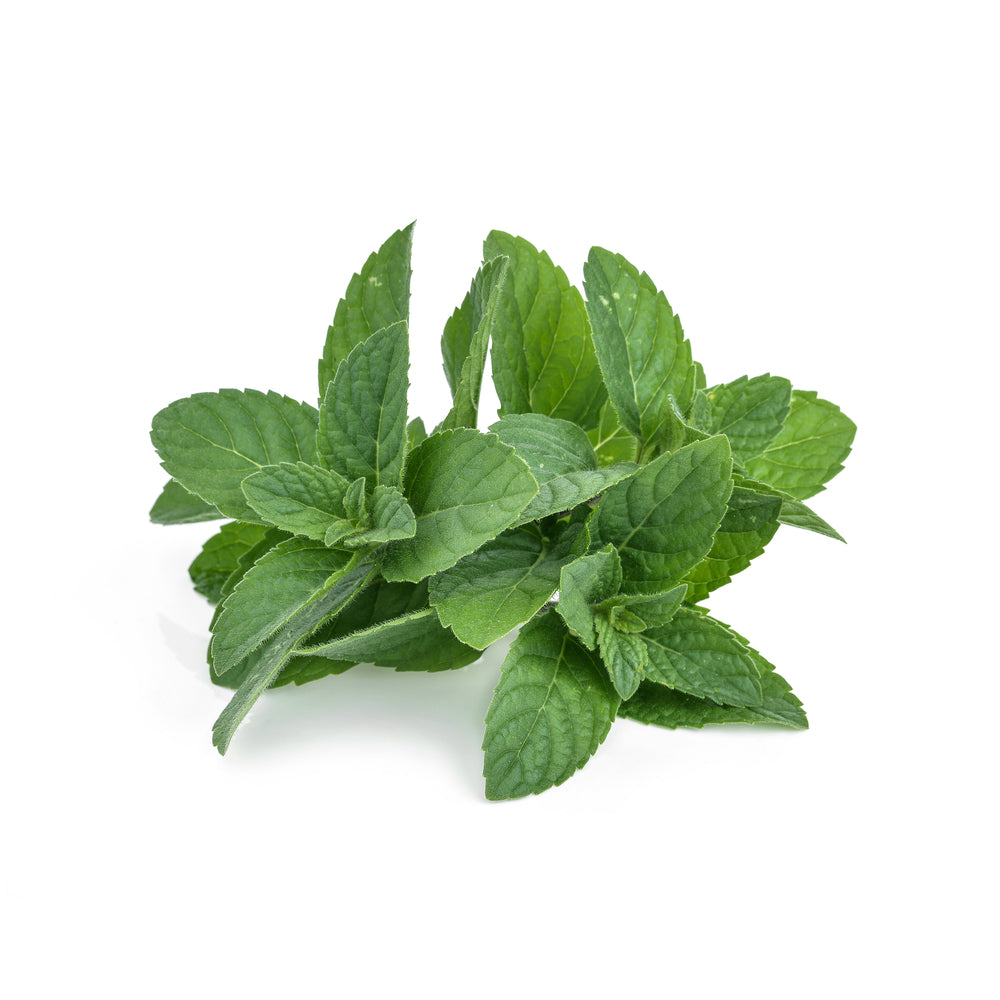 Organic peppermint essential oil from purenaturenz, featuring fresh peppermint leaves and a glass bottle on a neutral background.