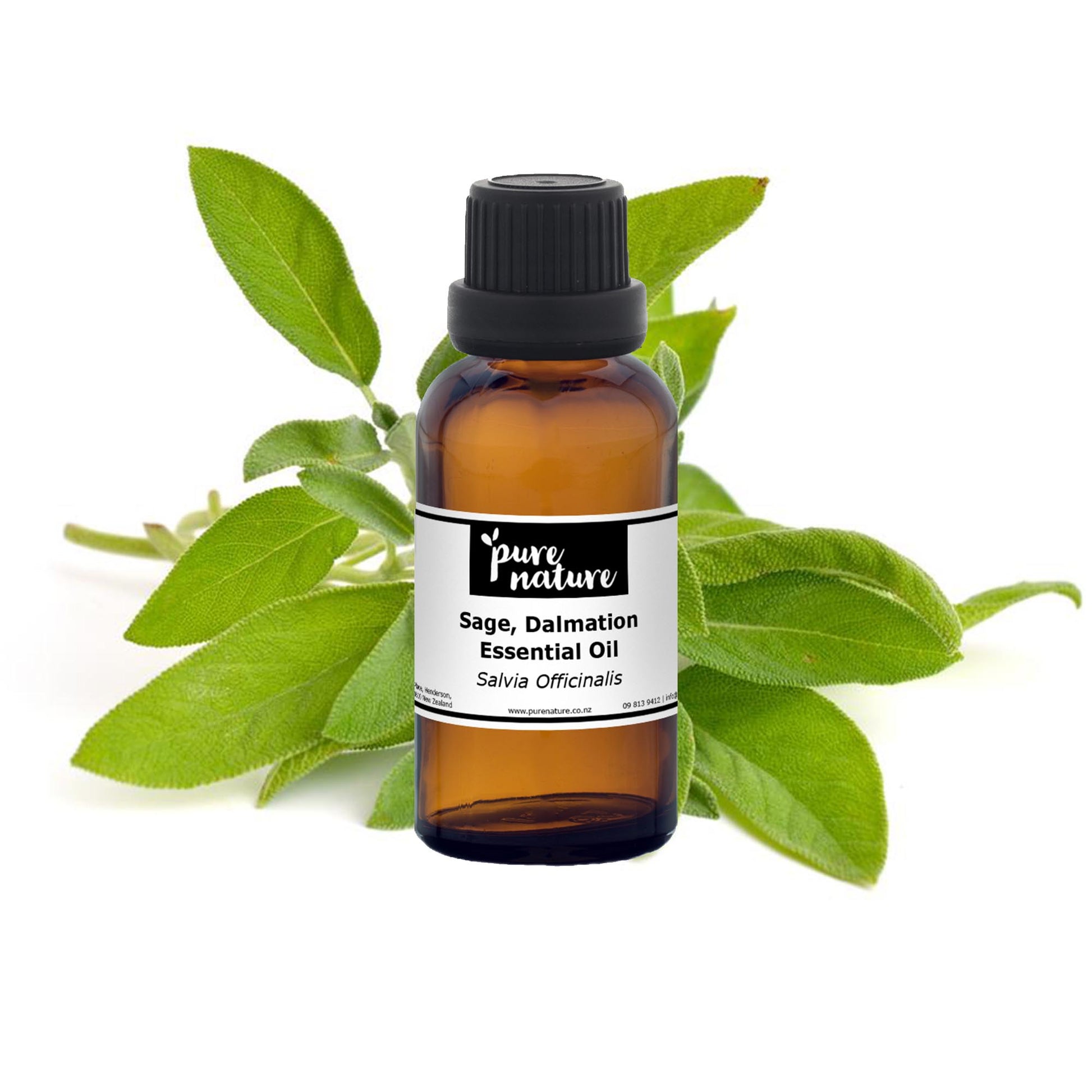Purenaturenz Dalmatian Sage essential oil bottle with sage leaves on a white background, highlighting natural herbal extract.