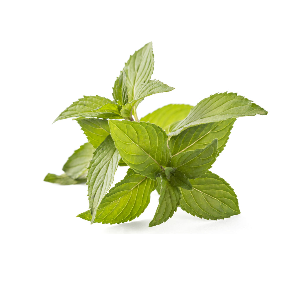 Purenaturenz spearmint essential oil bottle with green label, showcasing fresh spearmint leaves and natural aroma.