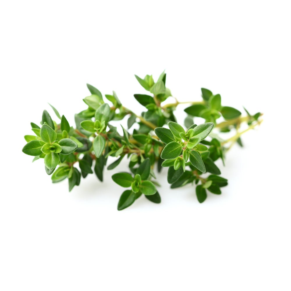 Purenaturenz red thyme essential oil in a glass bottle, showcasing fresh thyme sprigs and the vibrant red label.