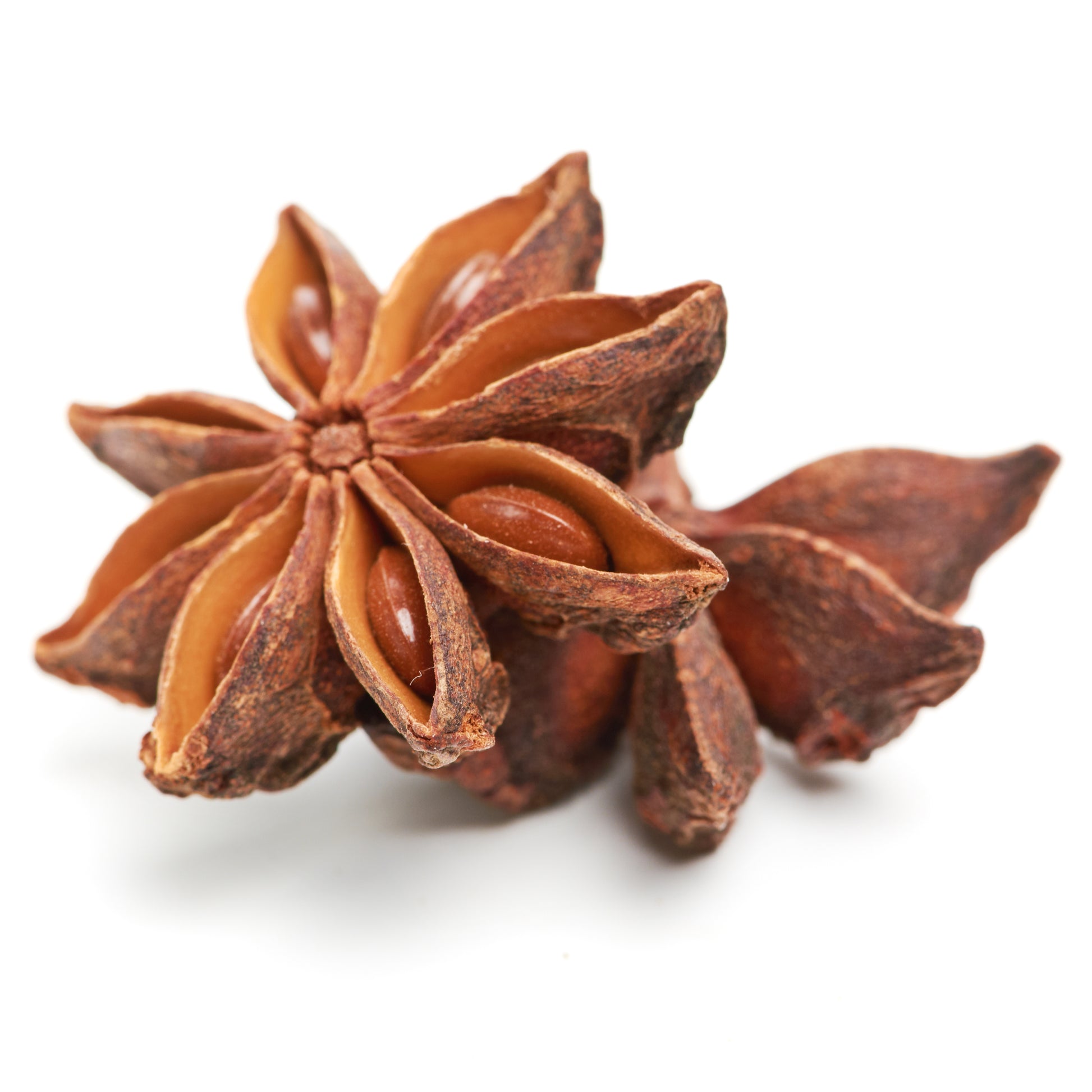 Purenaturenz star anise essential oil in a glass bottle, showcasing the aromatic spice used for natural health and wellness.