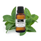 Peppermint, Piperita Essential Oil