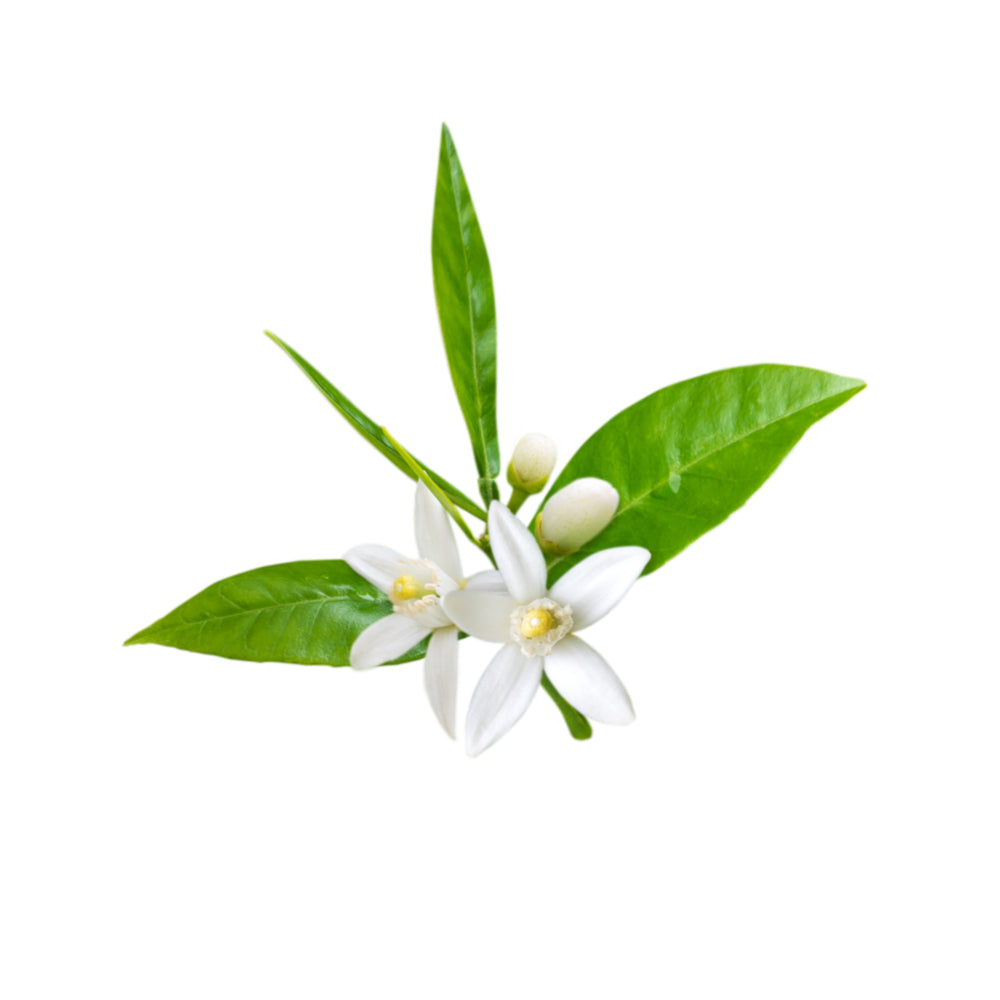 Bottle of purenaturenz Neroli Essential Oil with a clear label, displayed on a white background, highlighting the natural essential oil product.
