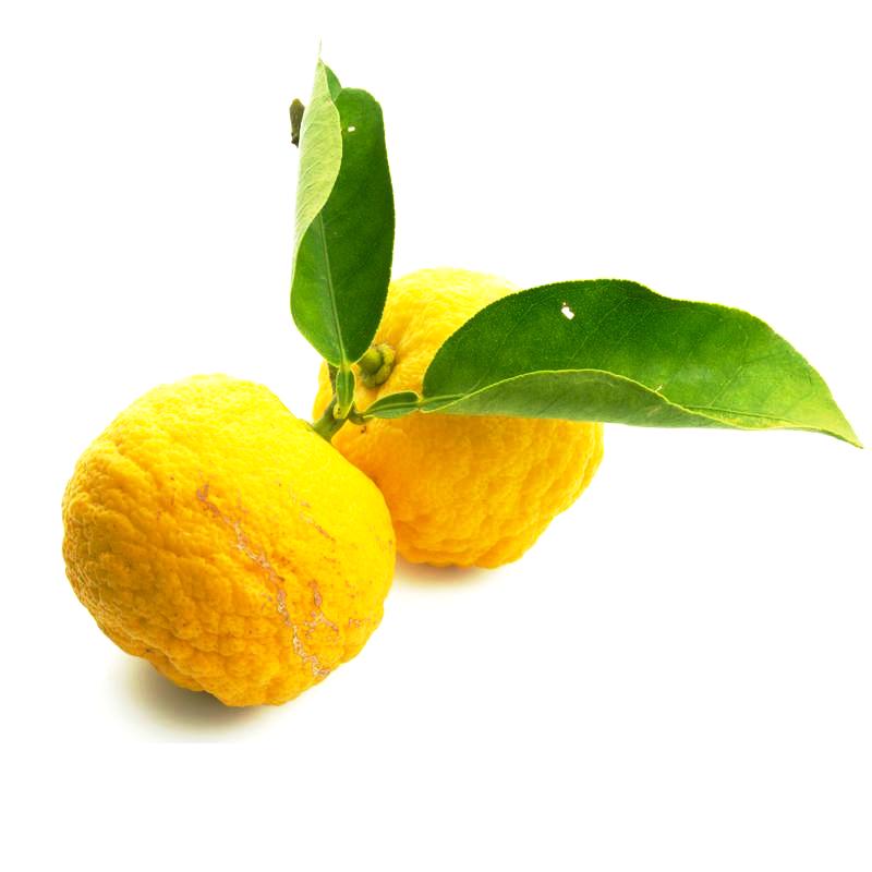 Purenaturenz Yuzu Essential Oil bottle with citrus fruit and leaves, highlighting natural essential oils for aromatherapy and skincare.