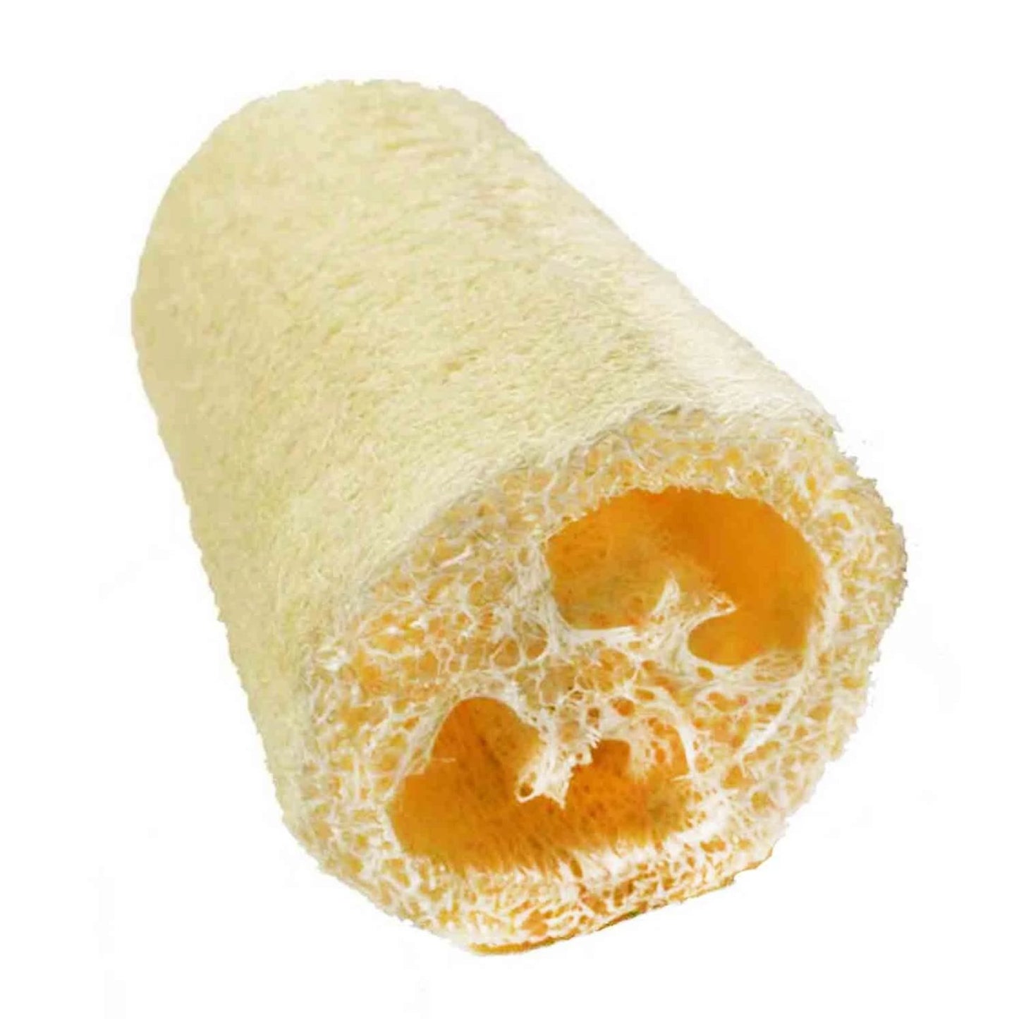 Loofah Pieces