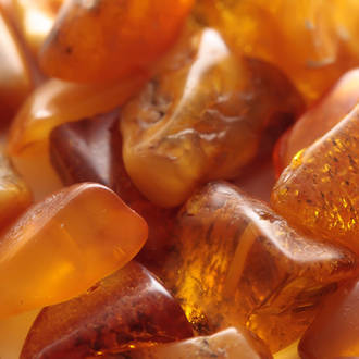 Egyptian Amber Fragrance