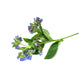 Comfrey Infused Oil