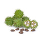 Castor Oil, Cold Pressed - Organic