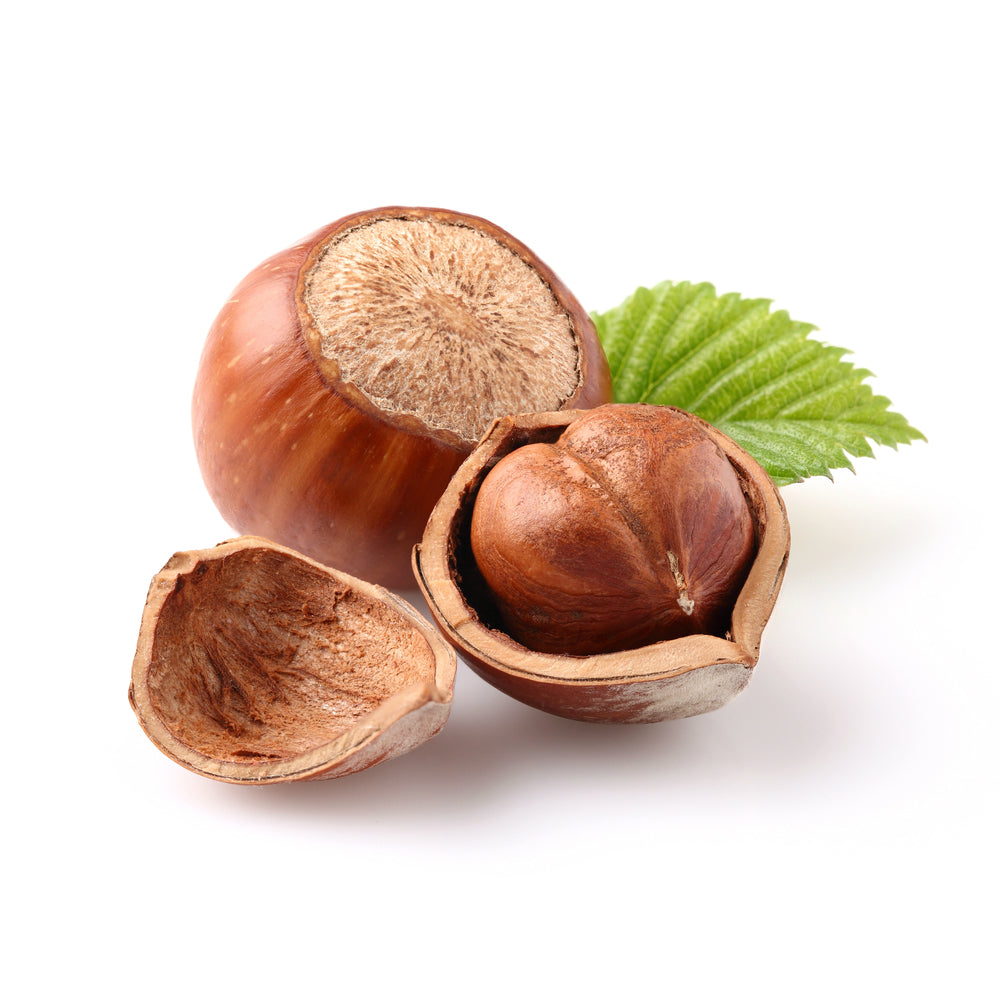 Hazelnut Oil
