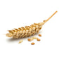 Wheat Germ Oil, Refined
