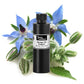 Borage Oil - Organic