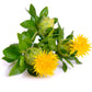 Safflower Oil - Refined