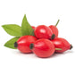 Rosehip Oil, Refined