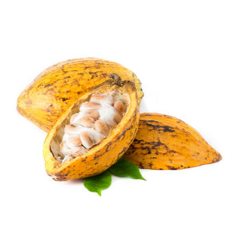 Cocoa Butter Chips, Fair Trade - Organic